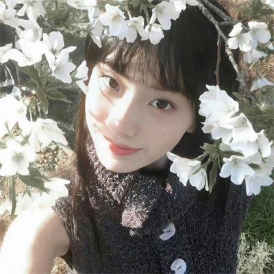 会议谩舞 海报