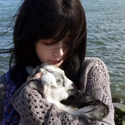 幸存的希德 海报